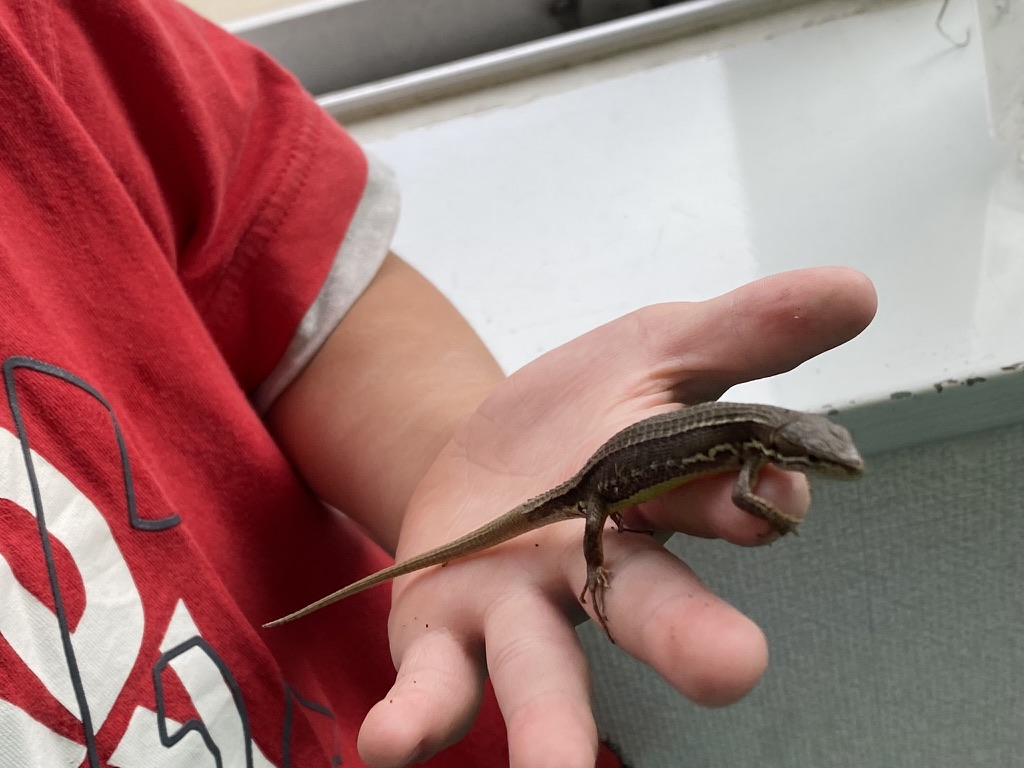 『自分が不幸の立場に立つと、本当に必要なものが見えてくる』